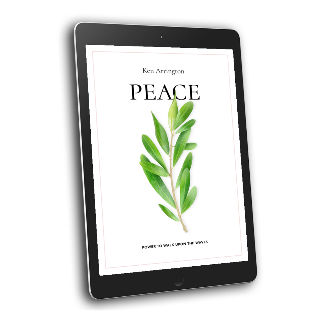 BookBrushImage-2020-8-17-14-1111 peace power to walk upon the waves